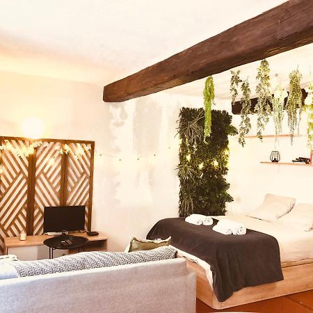 Apartamento Jungle Hyper Centre Nimes Exterior foto