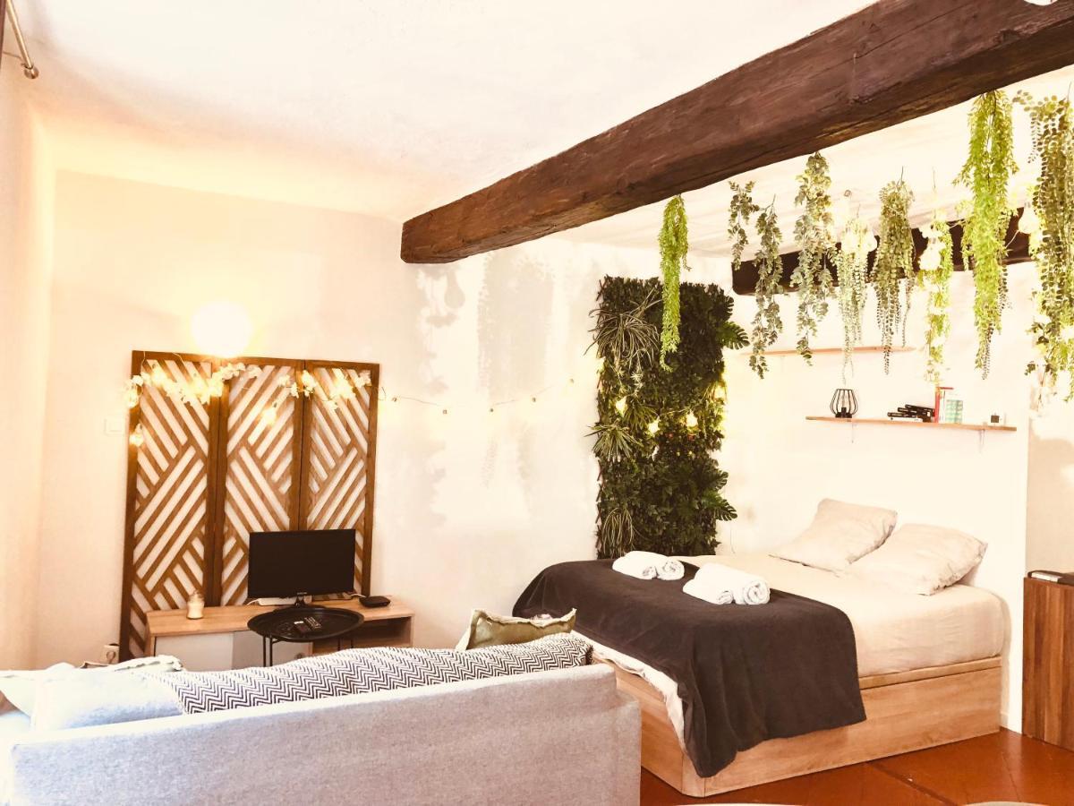Apartamento Jungle Hyper Centre Nimes Exterior foto
